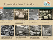 Plywood Mill How it works