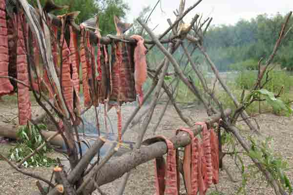 Friends of Skagit Beaches - Trail Tales - Coast Salish Food Traditions