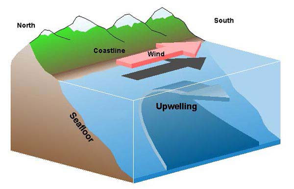 Oceans in Motion - Upwelling